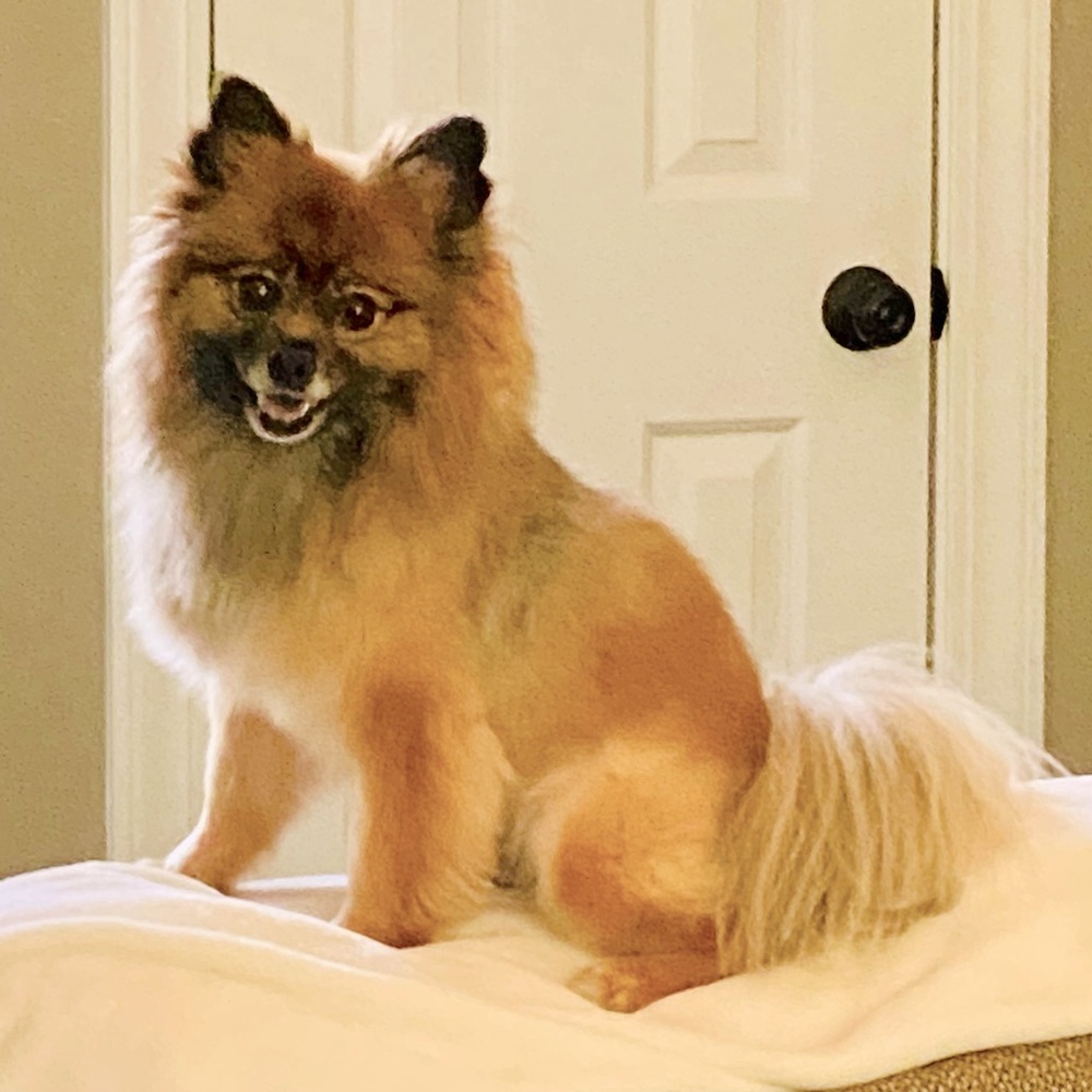 Meet your Posher, Karen